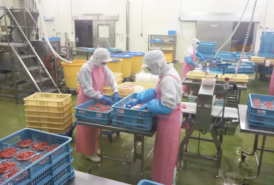 ちょっとした工場見学的な?