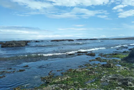 ホテルの前の海を散歩