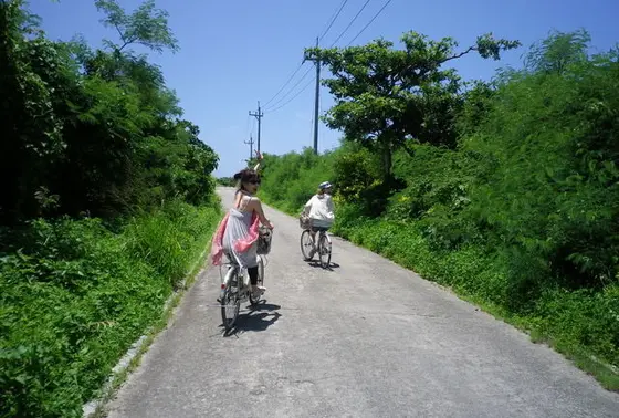 自転車周遊