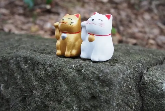 かわええ～