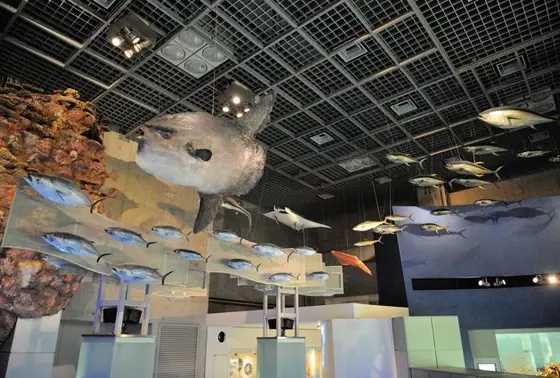 地球の多様な生き物たち
