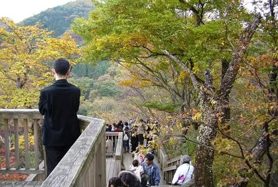 霧降の滝観瀑台（展望台）