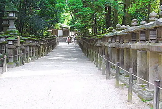 静謐さに満ちた参道
