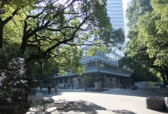 図書館からみえる緑