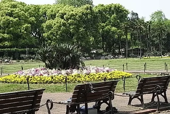 公園内のベンチ