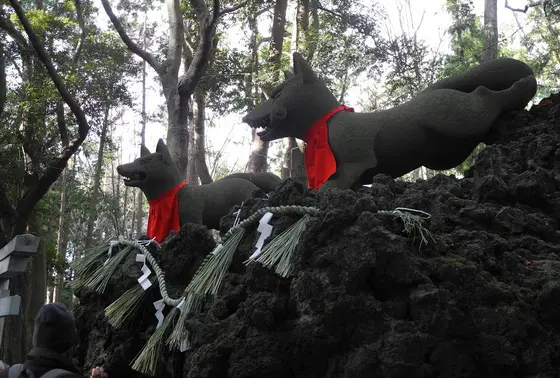 岩の上におきつね様