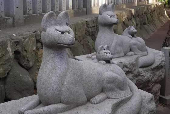 一斉に向くおきつね様