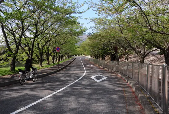 整備された道路