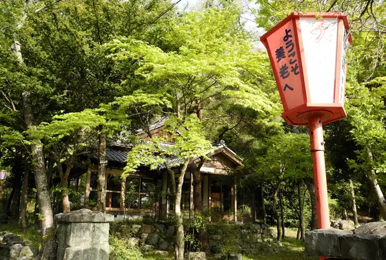 紅葉の名所