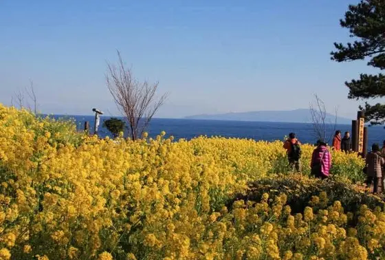 【オプション】伊豆四季の花公園で季節の花も楽しめちゃう！
