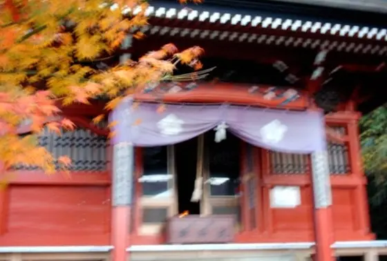 隣の養老寺にある頼朝ゆかりの「一本薄」
