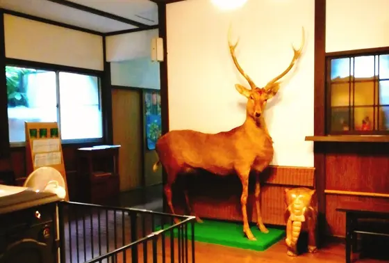 鹿がお出迎え
