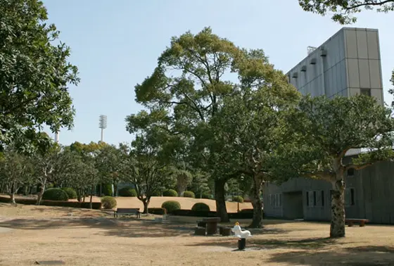 公園で