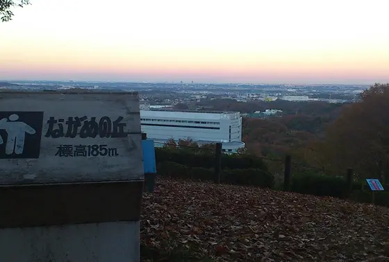 関東平野の地平線を眺める。