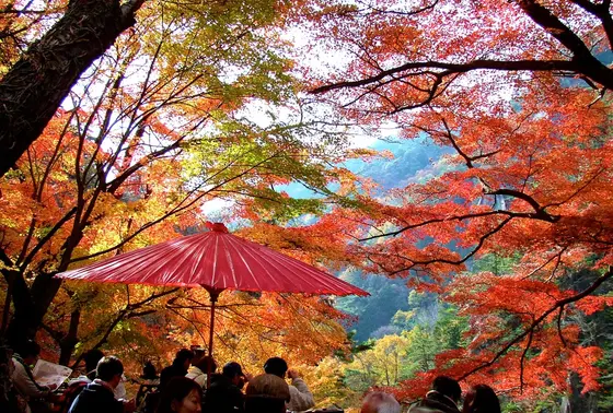 紅葉が見事！