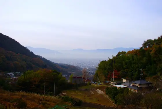 朝も綺麗
