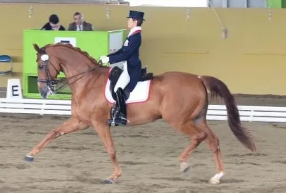 オリンピックの競技の中でも異色なスポーツ、馬術の魅力。