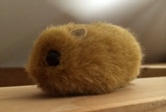 やまね？