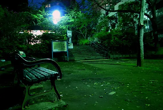 夜