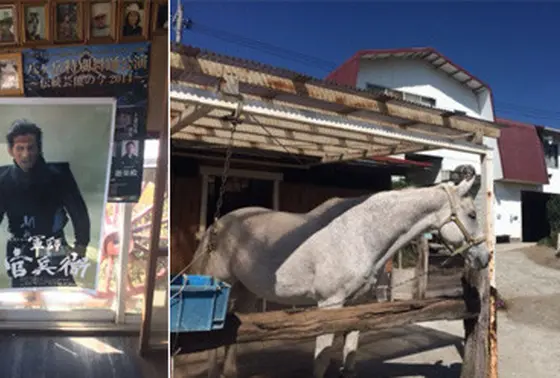大河ドラマに出てくる馬に出会える・・！