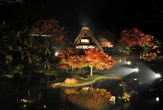 秋の紅葉ライトアップ