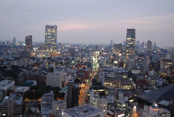 夕焼け終わり頃が好き。