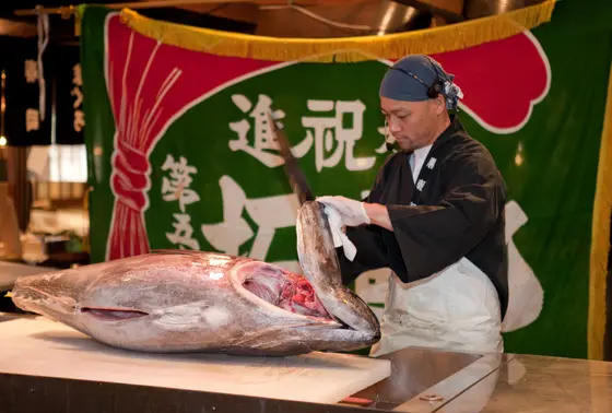毎日やってる解体ショー