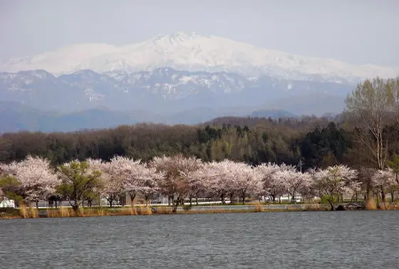 白山も見えます