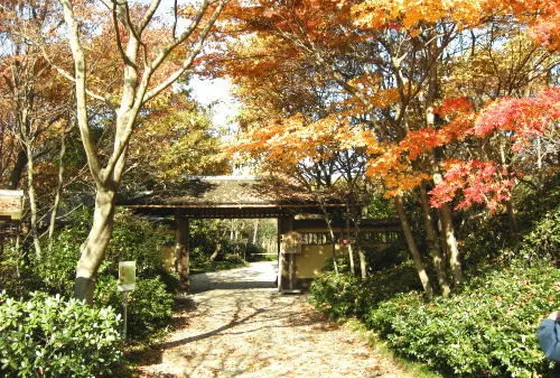 紅葉がとてもきれい