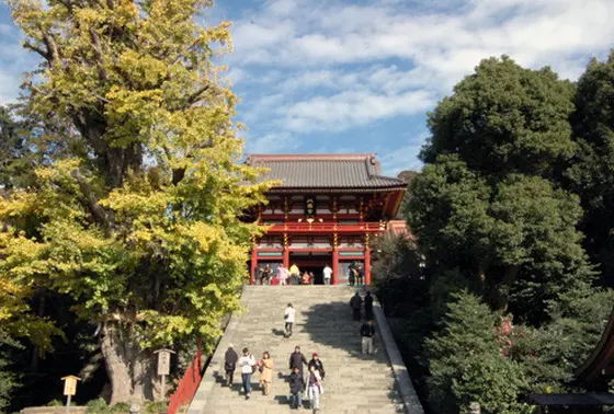 鶴岡八幡宮