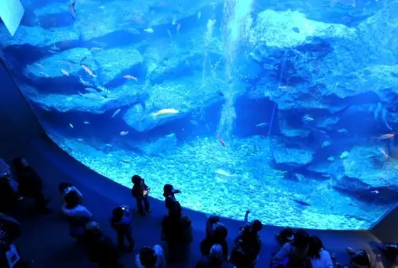 プロジェクションマッピング