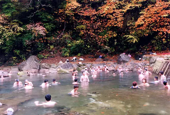 紅葉の季節は特にイイ