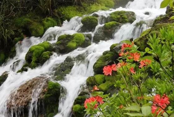 流れてるお水は温泉