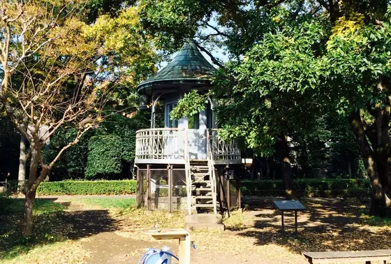 園内の紅葉