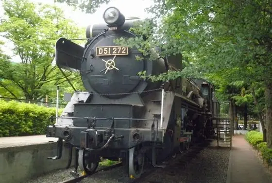 D51