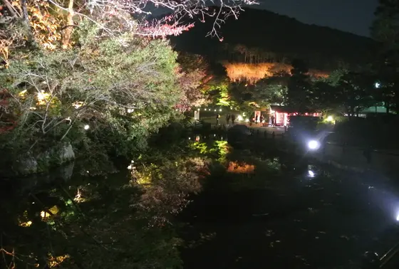 夜の水鏡