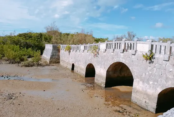 異国を思わせる橋