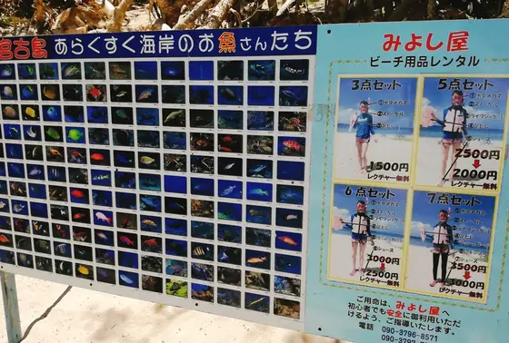 海の仲間たち