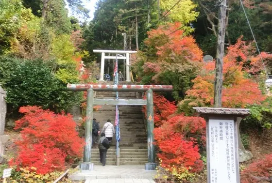 外の紅葉具合