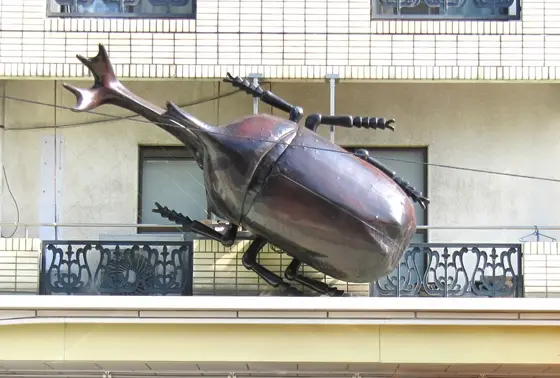 目印のカブトムシ