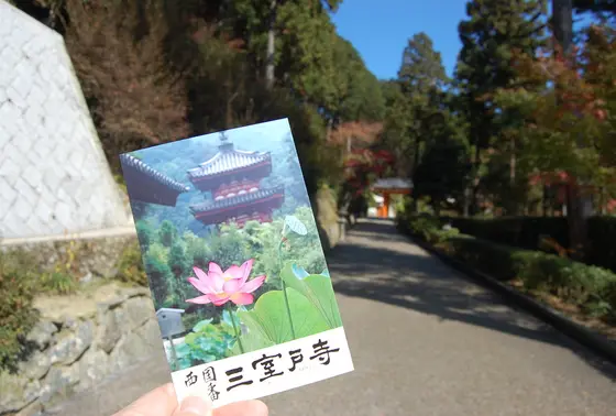 入場券