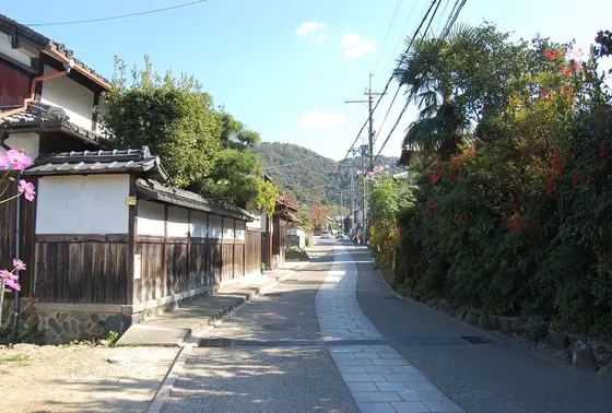 三室戸駅から徒歩で。