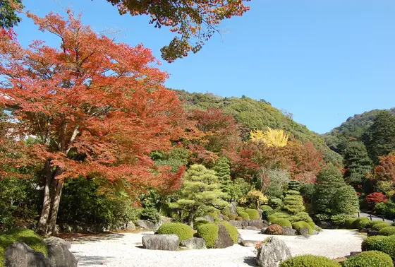 小さな庭園もあります。