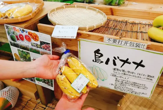 珍しい島バナナ
