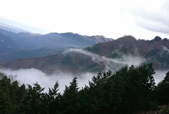 早朝の雲海