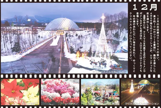 【Winterイルミネーション】