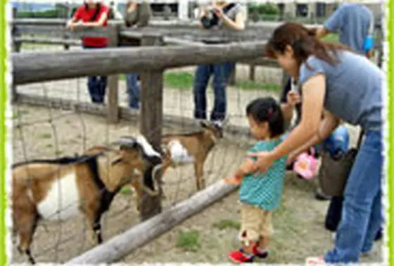 動物ふれあい広場