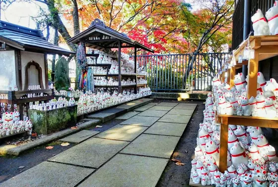 豪徳寺