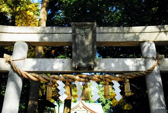 世田谷八幡宮