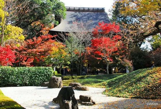 九品仏 浄真寺